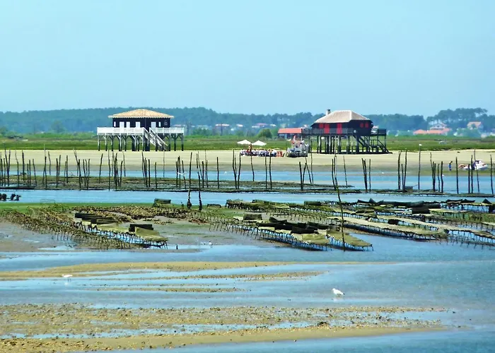Lägenhet D'automne By Interhome Arcachon